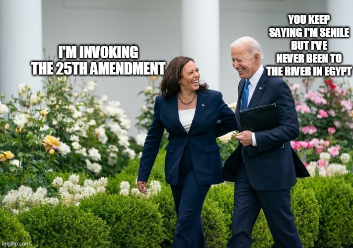 Just ''Biden'' her time until she runs the show | YOU KEEP SAYING I'M SENILE BUT I'VE NEVER BEEN TO THE RIVER IN EGYPT; I'M INVOKING THE 25TH AMENDMENT | made w/ Imgflip meme maker