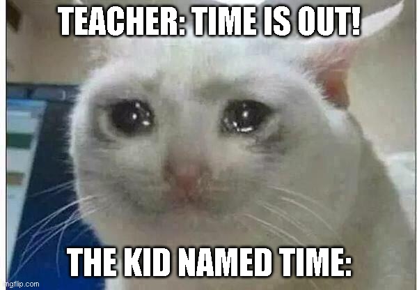 crying cat | TEACHER: TIME IS OUT! THE KID NAMED TIME: | image tagged in crying cat | made w/ Imgflip meme maker