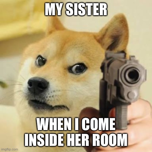 Dog holding gun | MY SISTER; WHEN I COME INSIDE HER ROOM | image tagged in dog holding gun,siblings | made w/ Imgflip meme maker
