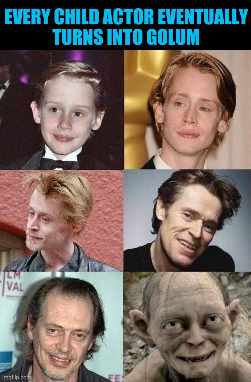 Hollywood makeover | EVERY CHILD ACTOR EVENTUALLY
TURNS INTO GOLUM | image tagged in home alone kid,willem dafoe,steve buscemi,gollum | made w/ Imgflip meme maker