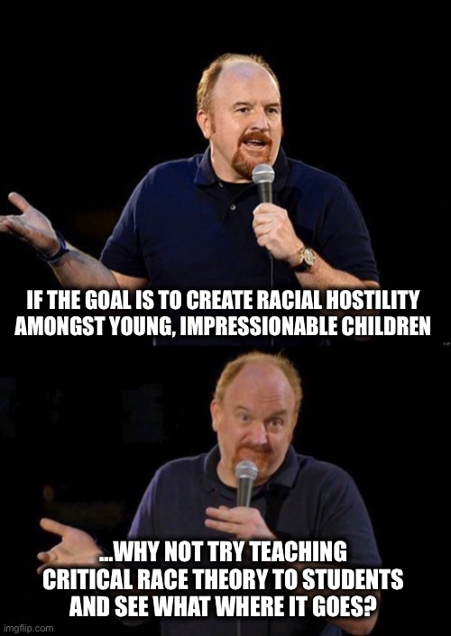 Bad pun Louis CK | IF THE GOAL IS TO CREATE RACIAL HOSTILITY 
AMONGST YOUNG, IMPRESSIONABLE CHILDREN; …WHY NOT TRY TEACHING 
CRITICAL RACE THEORY TO STUDENTS 
AND SEE WHAT WHERE IT GOES? | image tagged in bad pun louis ck | made w/ Imgflip meme maker