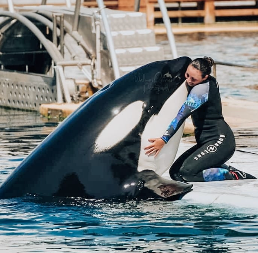 Captivity is Awesome Blank Meme Template