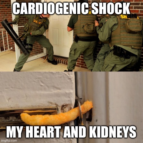 Dying be like | CARDIOGENIC SHOCK; MY HEART AND KIDNEYS | image tagged in breaking down door,sick,icu,terminal illness,death | made w/ Imgflip meme maker