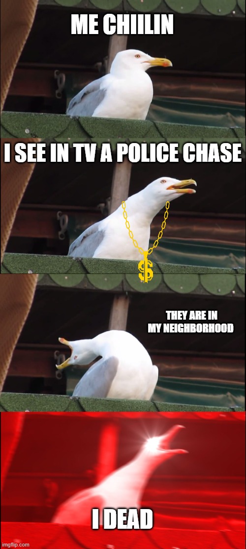 Inhaling Seagull | ME CHIILIN; I SEE IN TV A POLICE CHASE; THEY ARE IN MY NEIGHBORHOOD; I DEAD | image tagged in memes,inhaling seagull | made w/ Imgflip meme maker