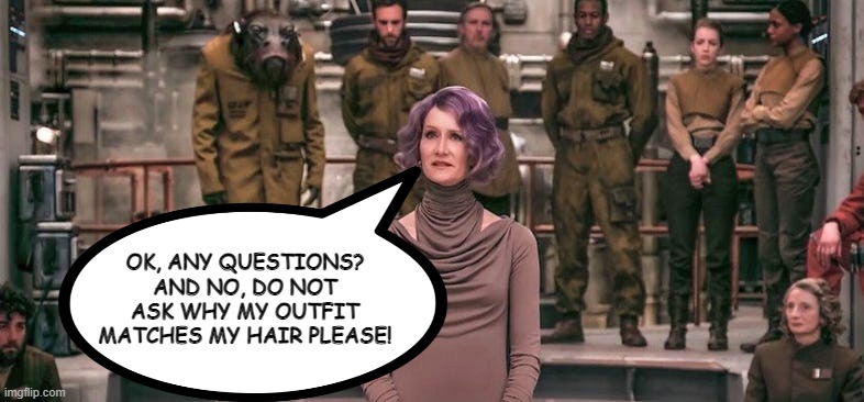 Admiral Coordination | OK, ANY QUESTIONS? AND NO, DO NOT ASK WHY MY OUTFIT MATCHES MY HAIR PLEASE! | image tagged in holdo,star wars | made w/ Imgflip meme maker