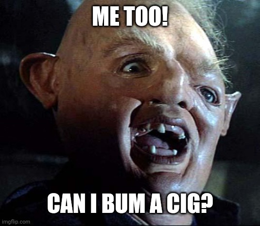 Sloth Goonies | ME TOO! CAN I BUM A CIG? | image tagged in sloth goonies | made w/ Imgflip meme maker