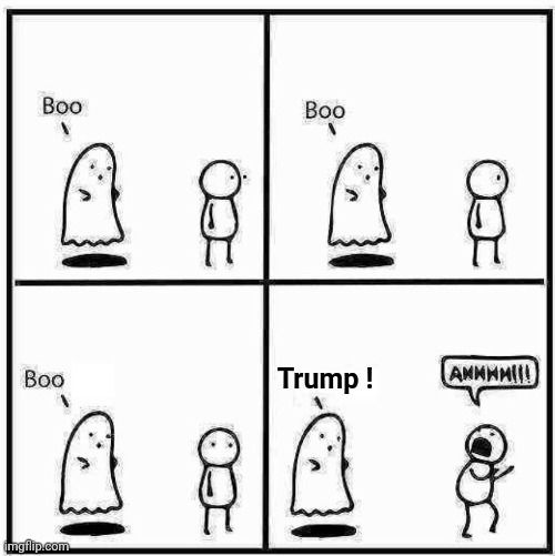 Ghost Boo | Trump ! | image tagged in ghost boo | made w/ Imgflip meme maker