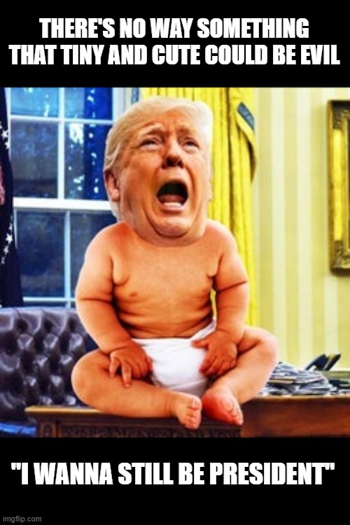 Trump Baby Made The BIG LIE Poopie in  His Diapers | THERE'S NO WAY SOMETHING THAT TINY AND CUTE COULD BE EVIL; "I WANNA STILL BE PRESIDENT" | image tagged in crybaby,the big lie,send trump to a mental hospital,lock him up,get over it,psycho | made w/ Imgflip meme maker