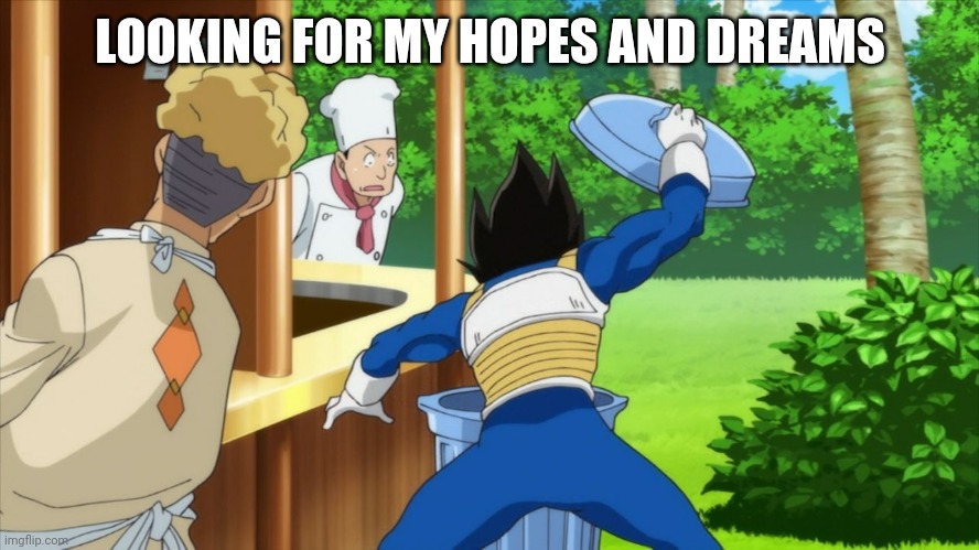 Vegeta | LOOKING FOR MY HOPES AND DREAMS | image tagged in vegeta | made w/ Imgflip meme maker