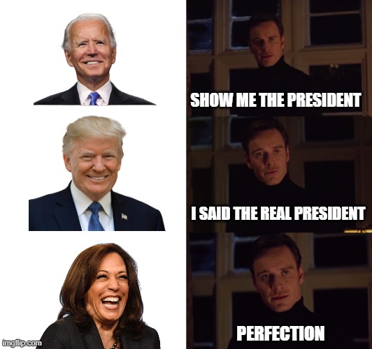 lol | SHOW ME THE PRESIDENT; I SAID THE REAL PRESIDENT; PERFECTION | image tagged in perfection | made w/ Imgflip meme maker