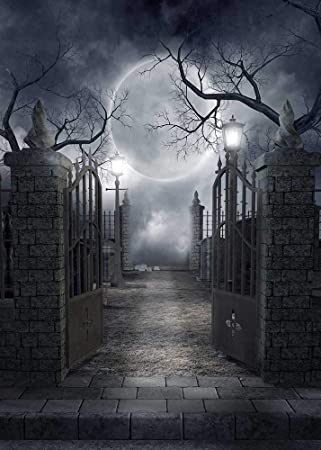Creepy graveyard full moon scene Blank Meme Template