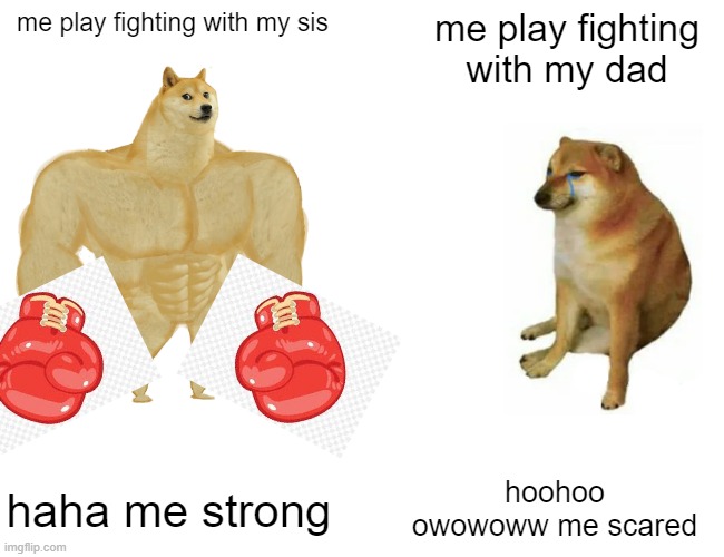 me when play fighting | me play fighting with my sis; me play fighting with my dad; haha me strong; hoohoo owowoww me scared | image tagged in memes,buff doge vs cheems | made w/ Imgflip meme maker