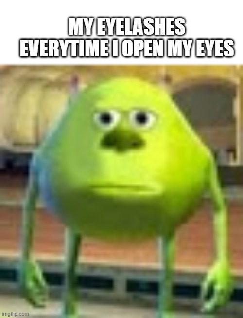 you will only get this if you know why you have eyelashes | MY EYELASHES EVERYTIME I OPEN MY EYES | image tagged in sully wazowski | made w/ Imgflip meme maker