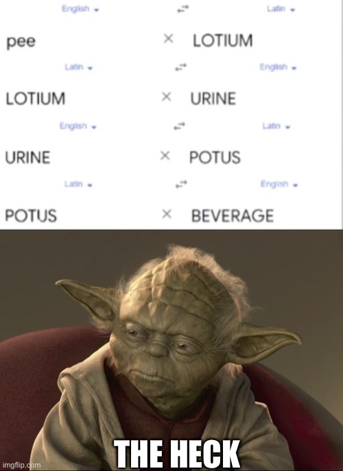 Wot? | THE HECK | image tagged in yoda begun the clone war has | made w/ Imgflip meme maker
