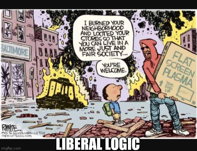 THAT'S JUST HOW DUMB IT IS | LIBERAL LOGIC | image tagged in riots,blm,protesters,liberal logic | made w/ Imgflip meme maker