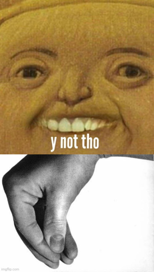 image tagged in y not tho,italian hand | made w/ Imgflip meme maker