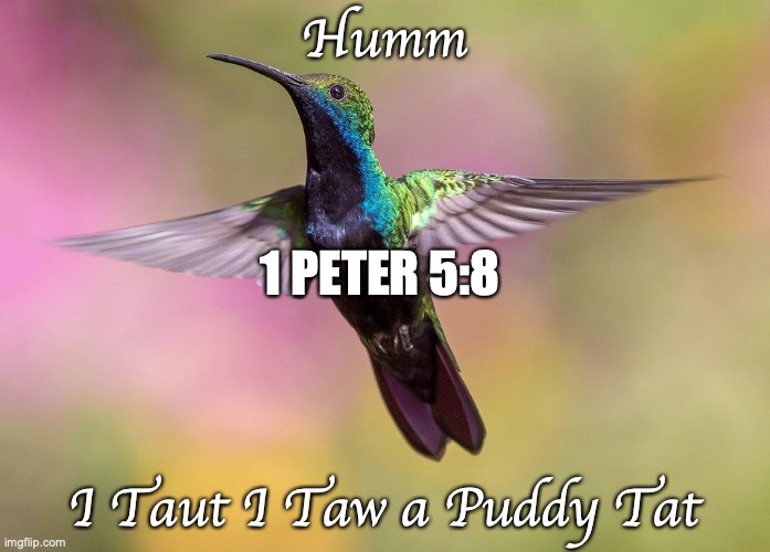 Surprise! | Humm; 1 PETER 5:8; I Taut I Taw a Puddy Tat | image tagged in stay awake,be on guard | made w/ Imgflip meme maker