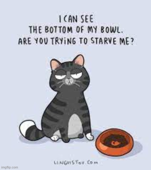 A Cat's Way Of Thinking | image tagged in memes,comics,cats,thinking,trying,starvation | made w/ Imgflip meme maker