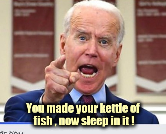 Joe Biden no malarkey | You made your kettle of
 fish , now sleep in it ! | image tagged in joe biden no malarkey | made w/ Imgflip meme maker
