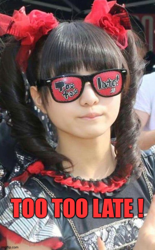 Too Too Late | TOO TOO LATE ! | image tagged in too too late | made w/ Imgflip meme maker