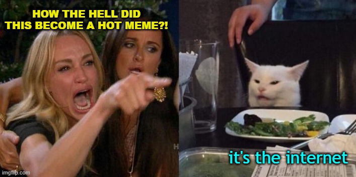 Bad Meme Conquers The World | HOW THE HELL DID THIS BECOME A HOT MEME?! it's the internet | image tagged in woman screaming at cat | made w/ Imgflip meme maker