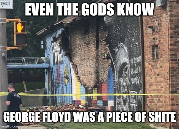 EVEN THE GODS KNOW; GEORGE FLOYD WAS A PIECE OF SHITE | image tagged in george floyd | made w/ Imgflip meme maker