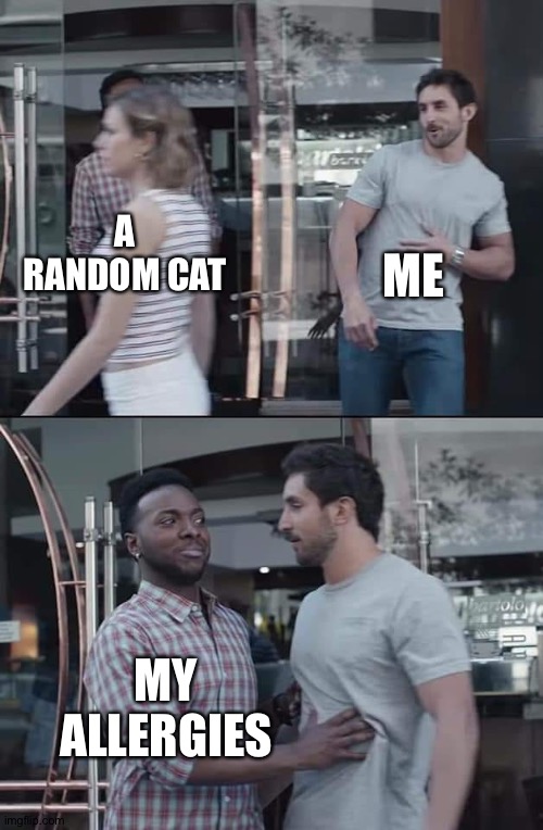 black guy stopping | ME; A RANDOM CAT; MY ALLERGIES | image tagged in black guy stopping | made w/ Imgflip meme maker