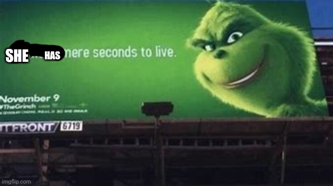 Grinch you have mere seconds to live | SHE HAS | image tagged in grinch you have mere seconds to live | made w/ Imgflip meme maker