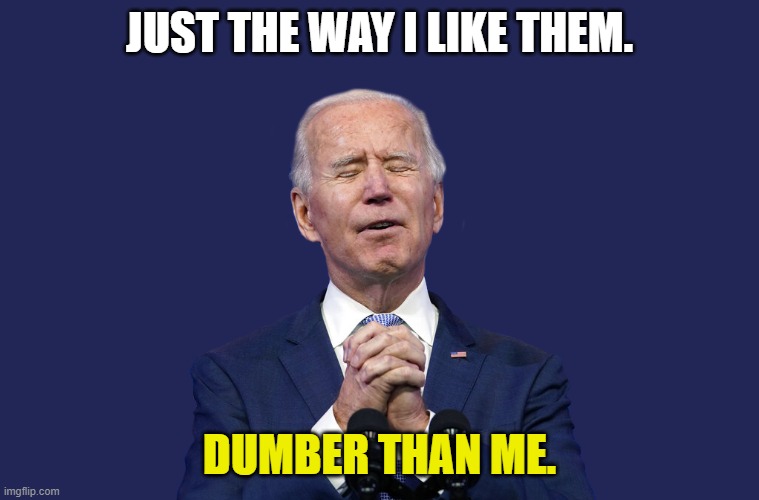 Biden's Prayer | JUST THE WAY I LIKE THEM. DUMBER THAN ME. | image tagged in biden's prayer | made w/ Imgflip meme maker