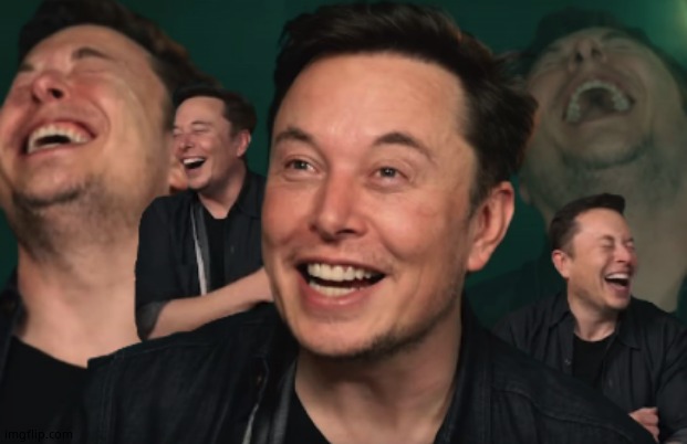 Elon Musk Laughing | image tagged in elon musk laughing | made w/ Imgflip meme maker