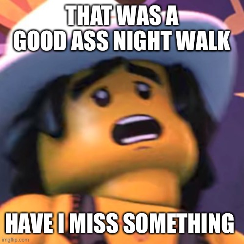 Cole | THAT WAS A GOOD ASS NIGHT WALK; HAVE I MISS SOMETHING | image tagged in cole | made w/ Imgflip meme maker