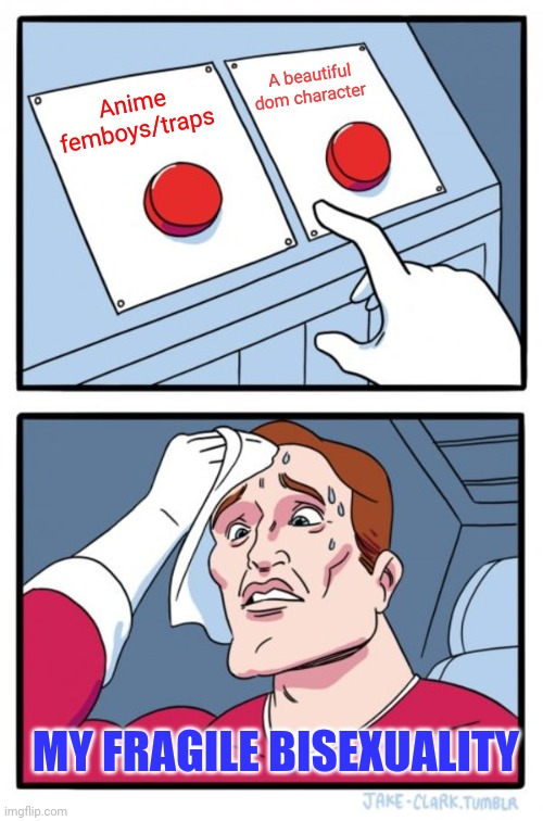 Two Buttons | A beautiful dom character; Anime femboys/traps; MY FRAGILE BISEXUALITY | image tagged in memes,two buttons | made w/ Imgflip meme maker