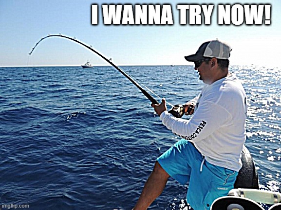fishing  | I WANNA TRY NOW! | image tagged in fishing | made w/ Imgflip meme maker