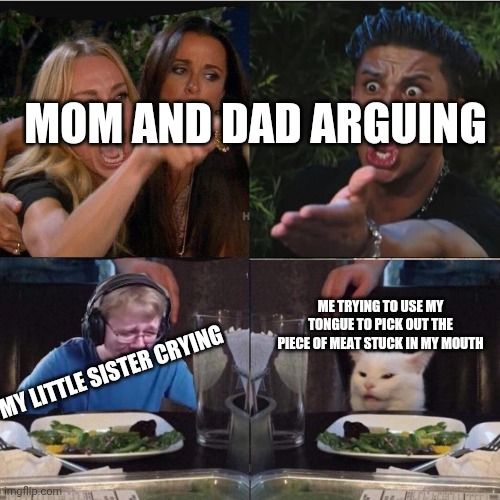 Dinner Table In A Nutshell |  MOM AND DAD ARGUING; ME TRYING TO USE MY TONGUE TO PICK OUT THE PIECE OF MEAT STUCK IN MY MOUTH; MY LITTLE SISTER CRYING | image tagged in four panel taylor armstrong pauly d callmecarson cat,salad cat,argument,cat at table,callmecarson crying next to joe swanson | made w/ Imgflip meme maker