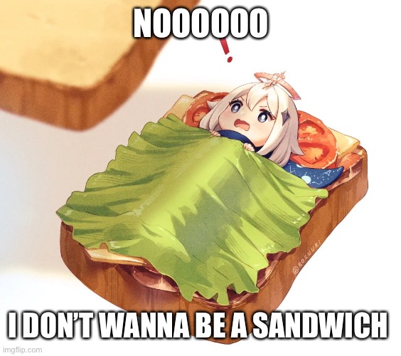 What will you do | NOOOOOO; I DON’T WANNA BE A SANDWICH | made w/ Imgflip meme maker