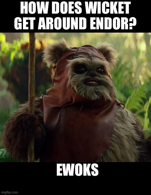 How does wicket travel? | HOW DOES WICKET GET AROUND ENDOR? EWOKS | image tagged in star wars,bad pun | made w/ Imgflip meme maker