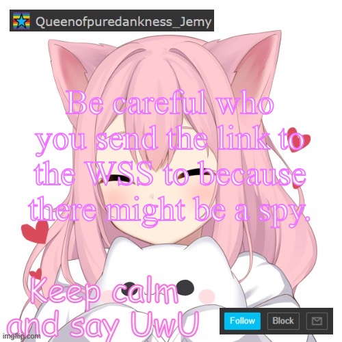 Queenofpuredankness_Jemy Fursona announcement | Be careful who you send the link to the WSS to because there might be a spy. | image tagged in queenofpuredankness_jemy fursona announcement | made w/ Imgflip meme maker