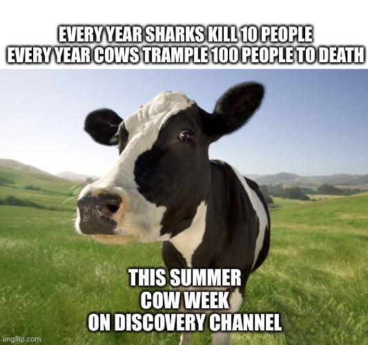 Cow Week | EVERY YEAR SHARKS KILL 10 PEOPLE
EVERY YEAR COWS TRAMPLE 100 PEOPLE TO DEATH; THIS SUMMER
COW WEEK
ON DISCOVERY CHANNEL | image tagged in cow,shark,discovery channel | made w/ Imgflip meme maker