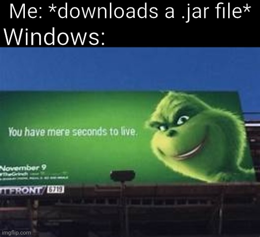 Please it's just a minecraft mod | Me: *downloads a .jar file*; Windows: | image tagged in you have mere seconds to live | made w/ Imgflip meme maker