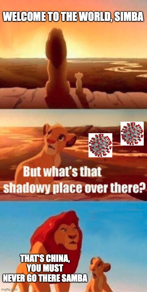 Dad, what about that shadowy place? | WELCOME TO THE WORLD, SIMBA; THAT'S CHINA, YOU MUST NEVER GO THERE SAMBA | image tagged in memes,simba shadowy place | made w/ Imgflip meme maker