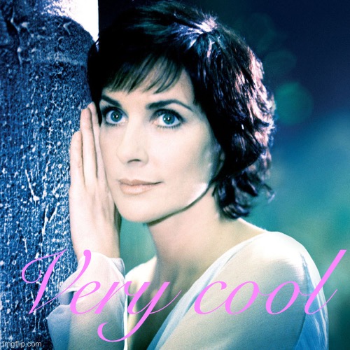 Enya very cool Blank Meme Template