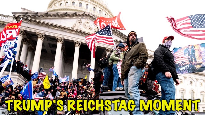 Capitol Riot | TRUMP'S REICHSTAG MOMENT | image tagged in capitol riot | made w/ Imgflip meme maker