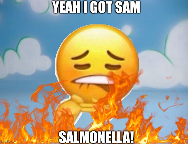 If you get it you are a true epic gamer | YEAH I GOT SAM; SALMONELLA! | image tagged in sheesh,funny memes | made w/ Imgflip meme maker
