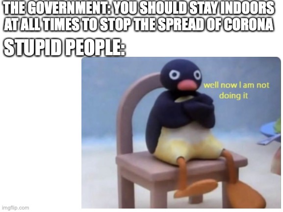 The World In A Nutshell | THE GOVERNMENT: YOU SHOULD STAY INDOORS AT ALL TIMES TO STOP THE SPREAD OF CORONA; STUPID PEOPLE: | image tagged in well now i am not doing it,pingu,coronavirus | made w/ Imgflip meme maker