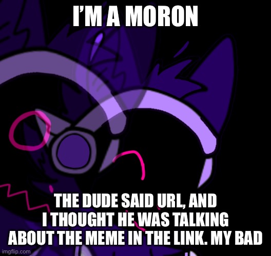 I’M A MORON; THE DUDE SAID URL, AND I THOUGHT HE WAS TALKING ABOUT THE MEME IN THE LINK. MY BAD | made w/ Imgflip meme maker