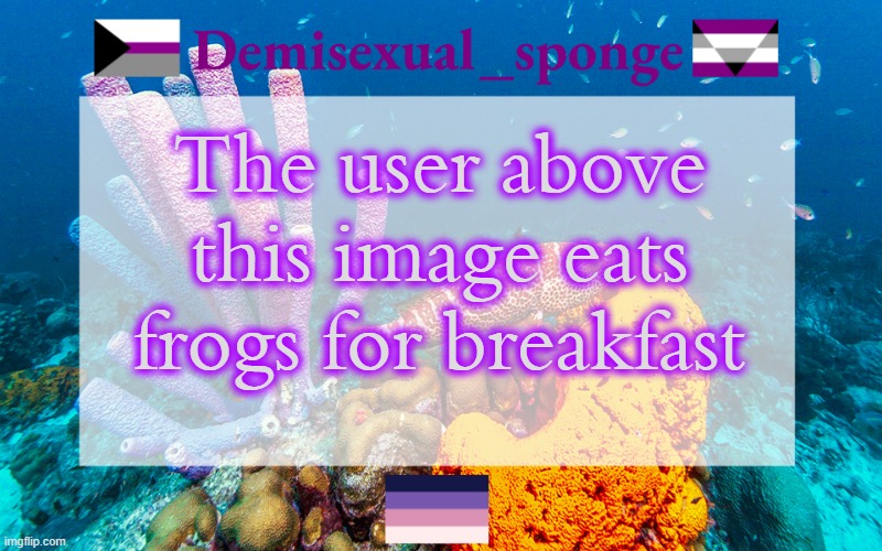 Demisexual_sponge's template (3) | The user above this image eats frogs for breakfast | image tagged in demisexual_sponge's template 3,demisexual_sponge | made w/ Imgflip meme maker