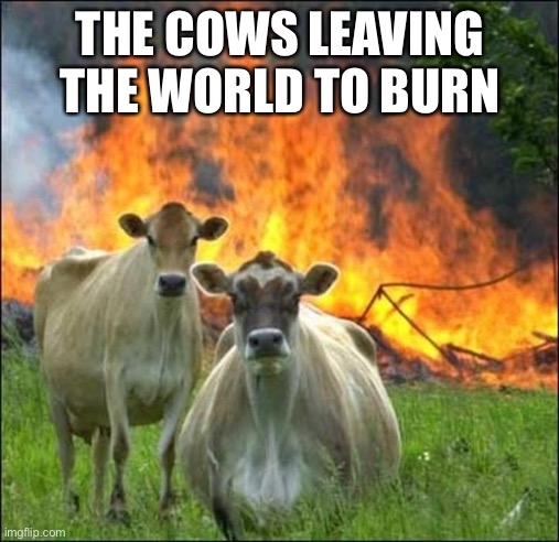 Evil Cows | THE COWS LEAVING THE WORLD TO BURN | image tagged in memes,evil cows | made w/ Imgflip meme maker