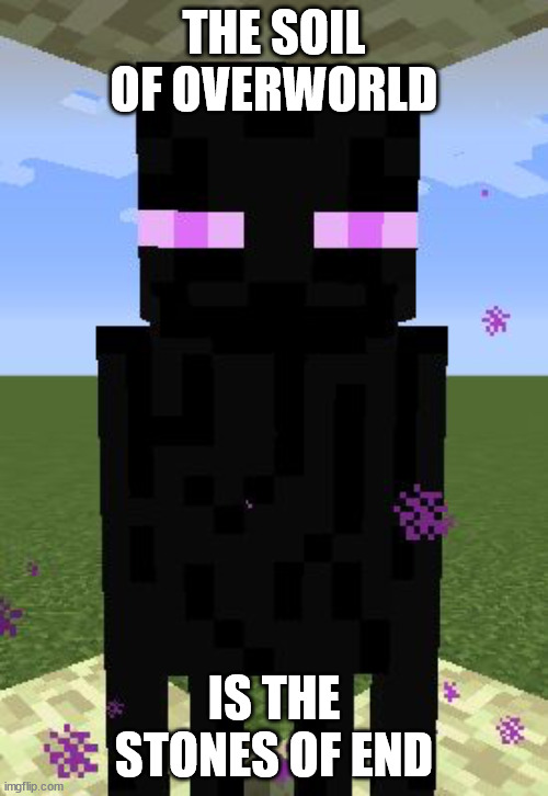 Enderman | THE SOIL OF OVERWORLD; IS THE STONES OF END | image tagged in enderman | made w/ Imgflip meme maker
