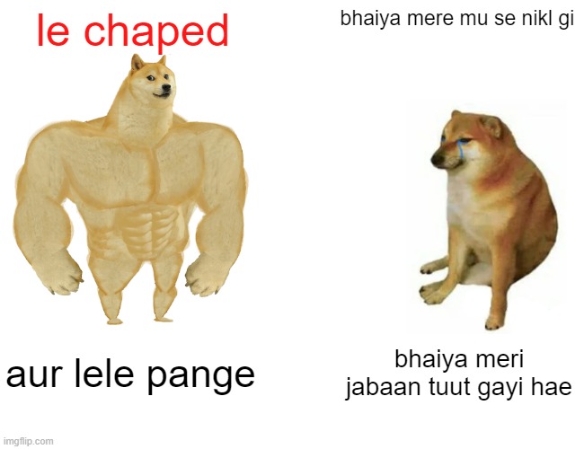 Buff Doge vs. Cheems | le chaped; bhaiya mere mu se nikl gi; aur lele pange; bhaiya meri jabaan tuut gayi hae | image tagged in memes,buff doge vs cheems | made w/ Imgflip meme maker