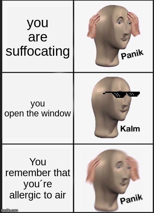 Me allergic to air | you are suffocating; you open the window; You remember that you´re allergic to air | image tagged in memes,panik kalm panik | made w/ Imgflip meme maker